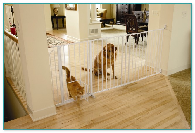 Baby Gates With Cats 3