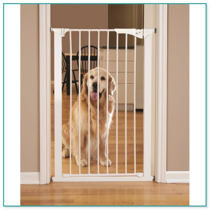 Baby Gates With Pet Access