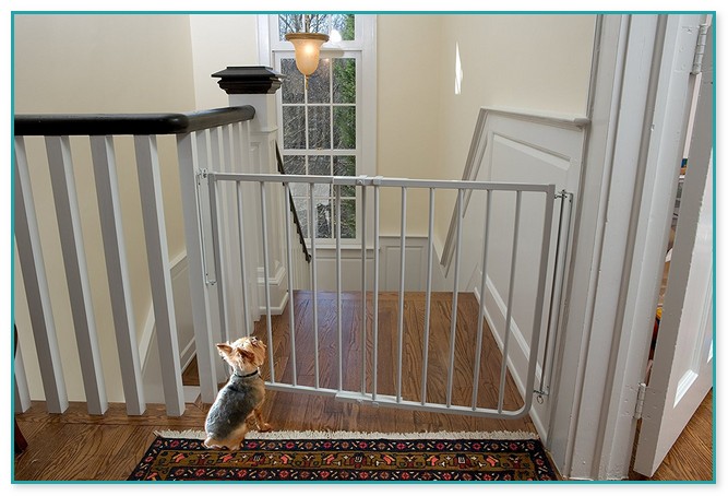 Baby Gates With Pet Opening 2