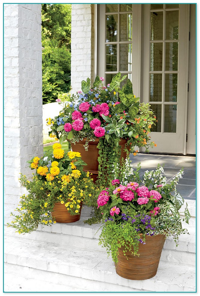 Best Container Flower Gardening Ideas