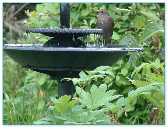 Bird Bath Fountains Electric 15