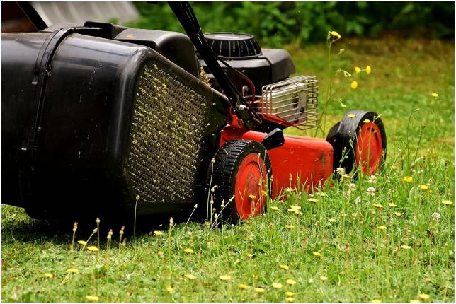 Best Commercial Self Propelled Lawn Mower 2018