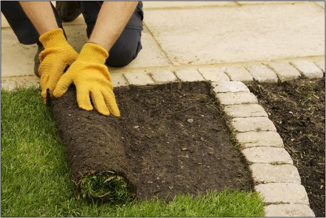 Best Landscaping Companies In Michigan