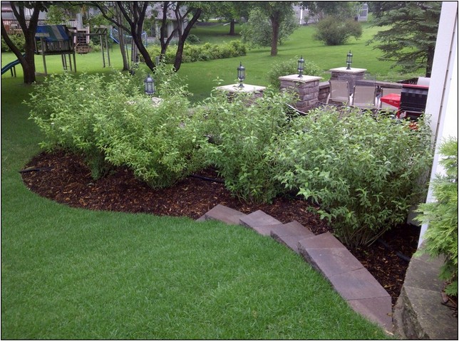 Best Type Of Mulch For Landscaping