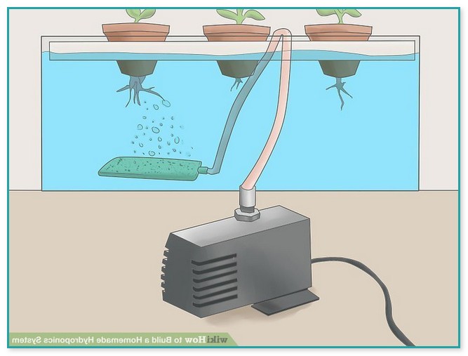 Build Homemade Hydroponic System