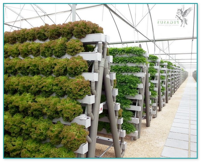 Commercial Vertical Hydroponic Systems
