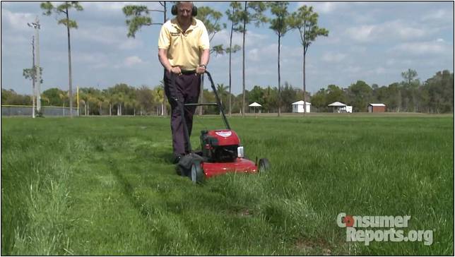 Consumer Reports Electric Lawn Mower Reviews