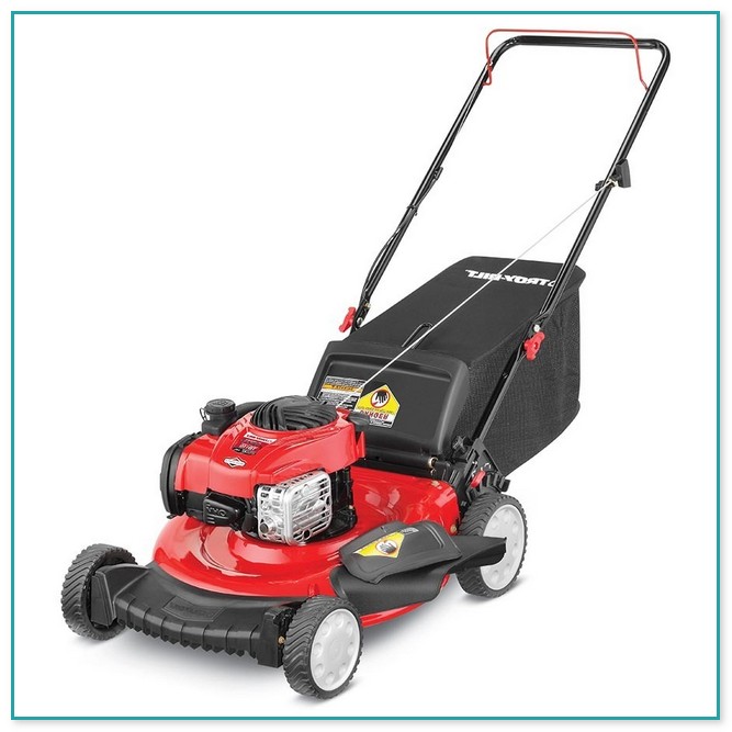 Gas Lawn Mowers For Sale