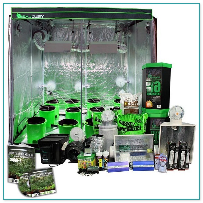 Hydroponic Grow Tent System