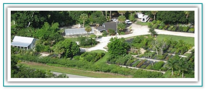 Landscape Design Fort Myers Fl