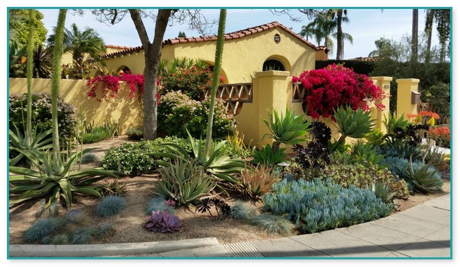 Landscape Designers San Diego