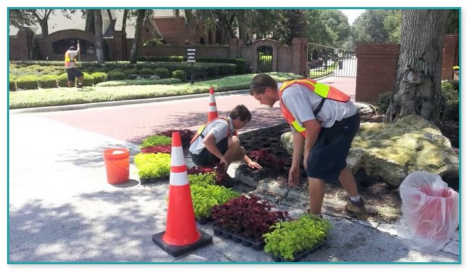 Landscaping Companies In Orlando