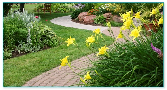 Landscaping Companies Raleigh Nc