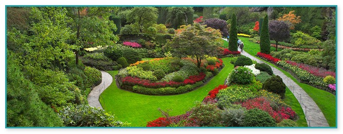 Landscaping Companies Tampa Fl