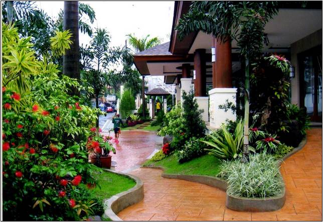 Landscaping Plants For Front Of House Philippines