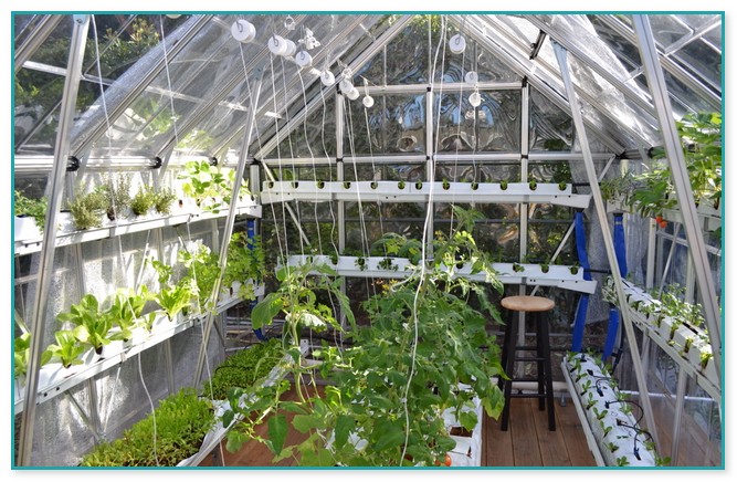 Large Scale Hydroponic Systems
