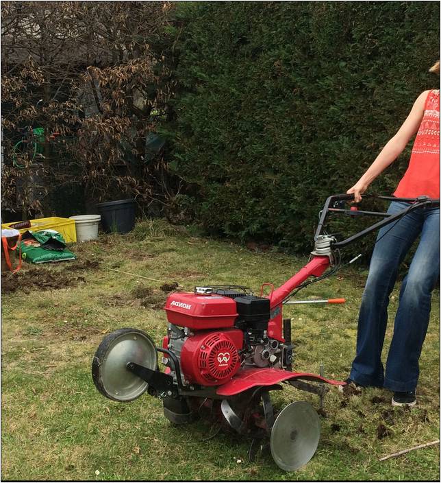 Lawn Mower Equipment Rental Near Me | Home Improvement