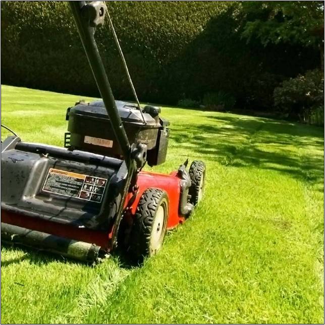 Lawn Mowers For Sale Melbourne