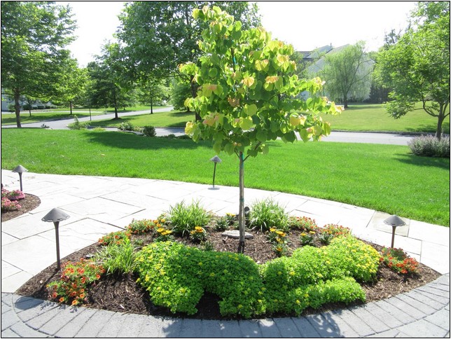 Ornamental Trees For Landscaping Small