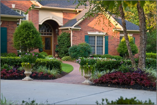 Ornamental Trees In Landscaping