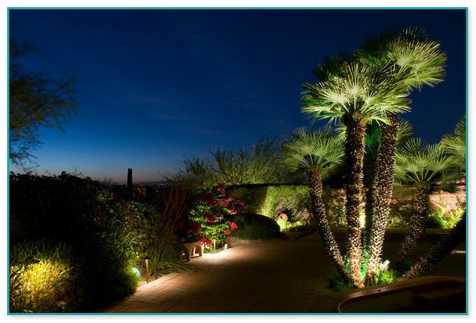Palm Tree Landscape Lighting