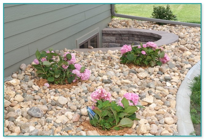 Rock Ground Cover Landscaping
