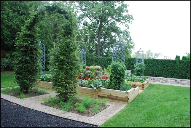 Small Evergreen Trees For Landscaping