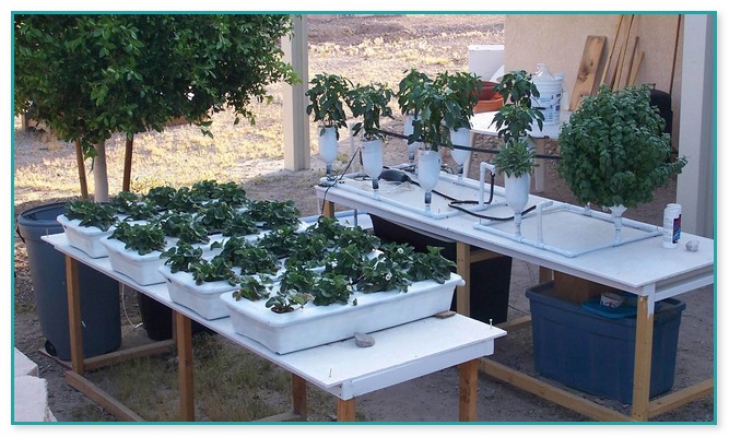 Small Hydroponic Systems For Sale