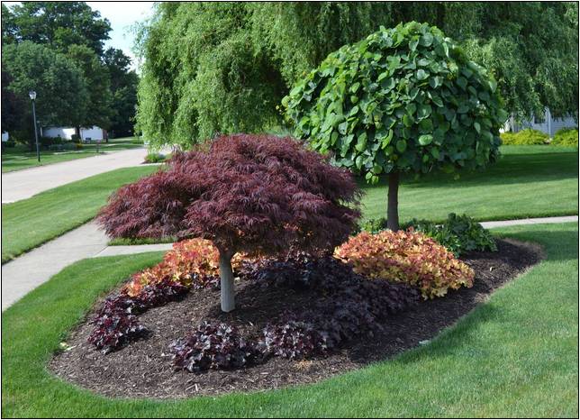 Small Trees For Landscaping Midwest