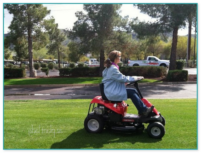 Smallest Riding Lawn Mower